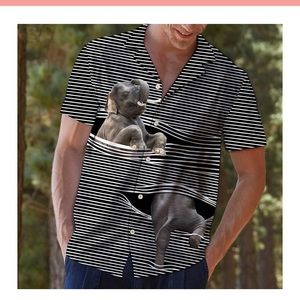 Meet your Posher, Mason